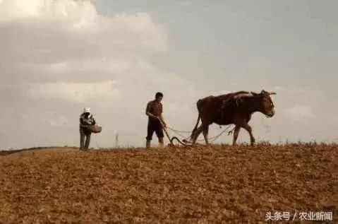 农村拆房统一规划,建新农村!可很多农民为啥不