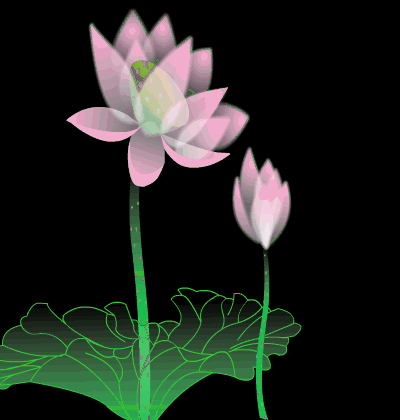 400_420gif 动态图 动图