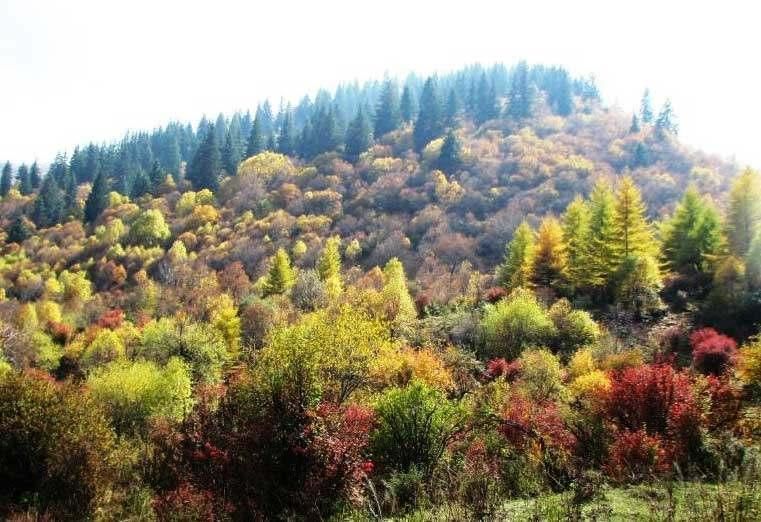 甘肃发展最好的城市,总GDP超2500亿元,未来有