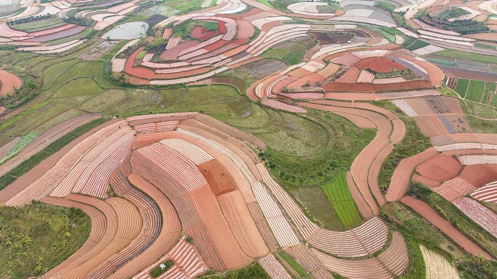 春耕时节，广西南宁市邕宁区蒲庙镇新生村，农民们正在抢抓农时做好春耕备耕，从高空俯瞰，一块块线条优美的田地犹如大地调色板。