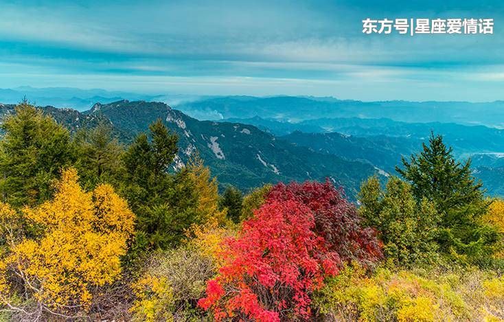 元旦过后运有神助,哪3生肖财运变旺,小财无数,大财涌进门