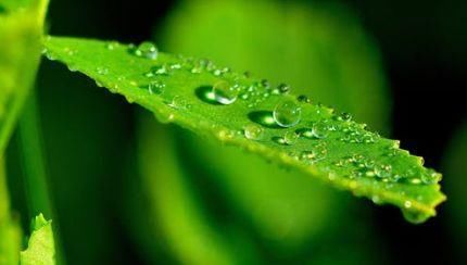 高考失利:复读一年还是以后考研?靠这三点才能