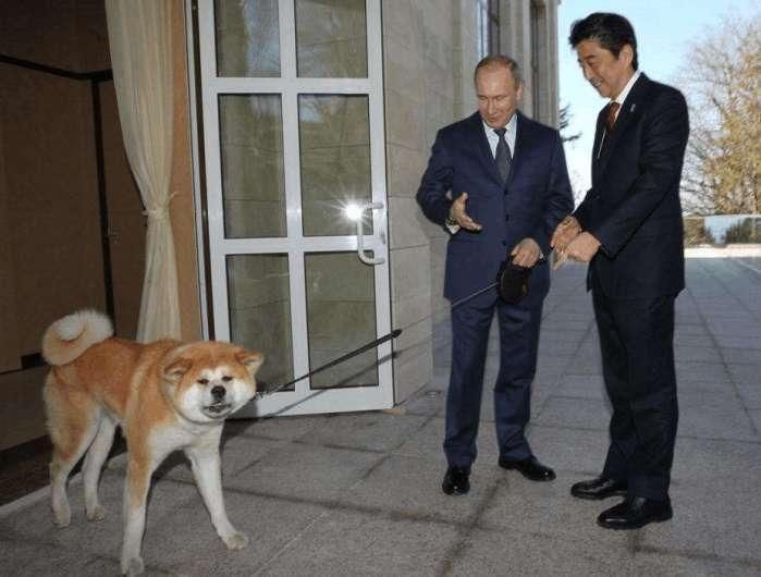 安培与普京彻底撕破脸,武力抢夺北方四岛,八成