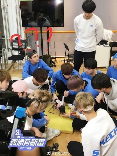 范丞丞确定上《爸爸去哪儿》第六季?可是他才