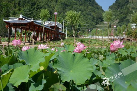 【网络媒体走转改】探秘巫溪深山的纯美村庄 走进去就想留下来 【网络媒体走转改】探秘巫溪深山的纯美村庄 走进去就想留下来