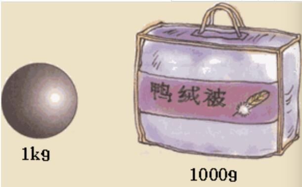 面试官:1斤棉花和1斤铁哪个重要?一样重被淘汰