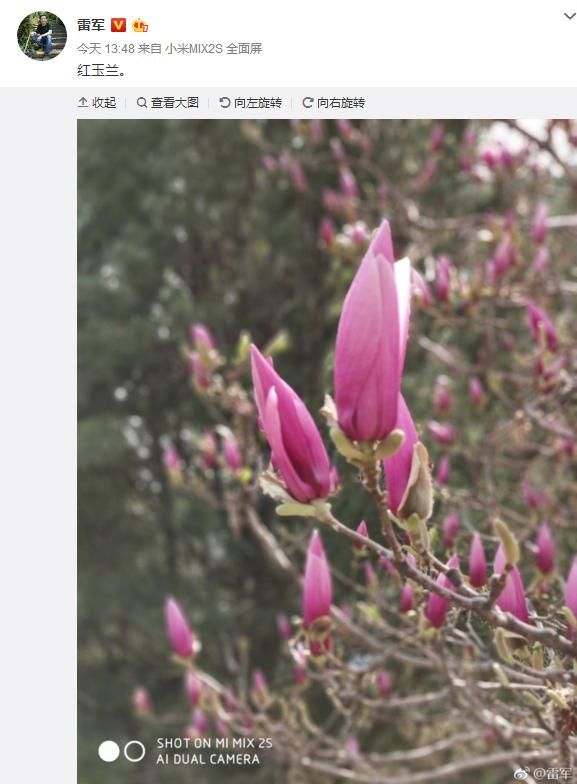 小米手机无货抢购艰难,雷军晒照反遭网友吐槽