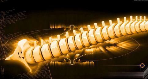 练下腰致终身瘫痪 脊椎受伤的急救措施