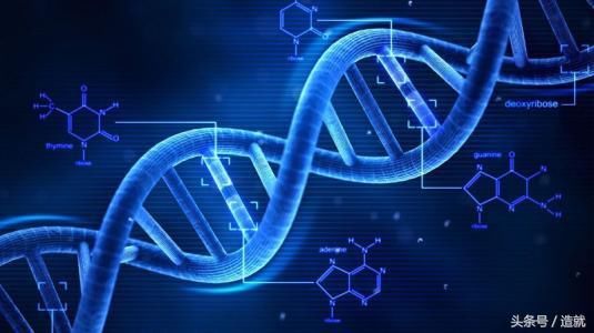 智商越高,收入越高吗?三岁看老准吗?九张图