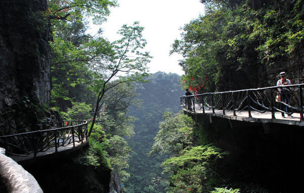 张家界开心旅游,感谢导游|下次来还找你!