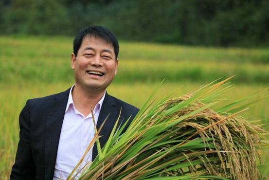 网红"大米哥"耕耘八载汉中梦只为稻田米更香