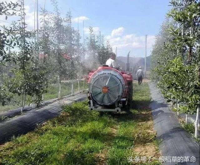 透过日本农业发展模式学习农业强国经验