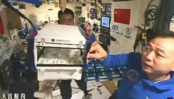 即将返回 天宫二号航天员留下神秘礼物 即将返回 天宫二号航天员留下神秘礼物