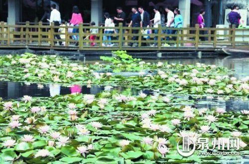 今年入伏时间2018:头伏是几月几日 三伏天时间