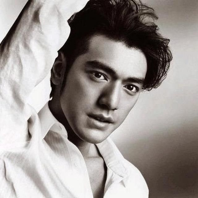 扒扒五官轮廓酷似欧美人的男艺人 张震金城武