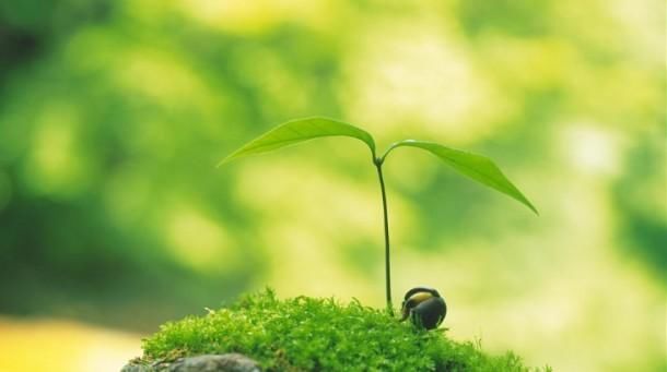 孩子说话晚更聪明?可能是爱因斯坦综合症!看看