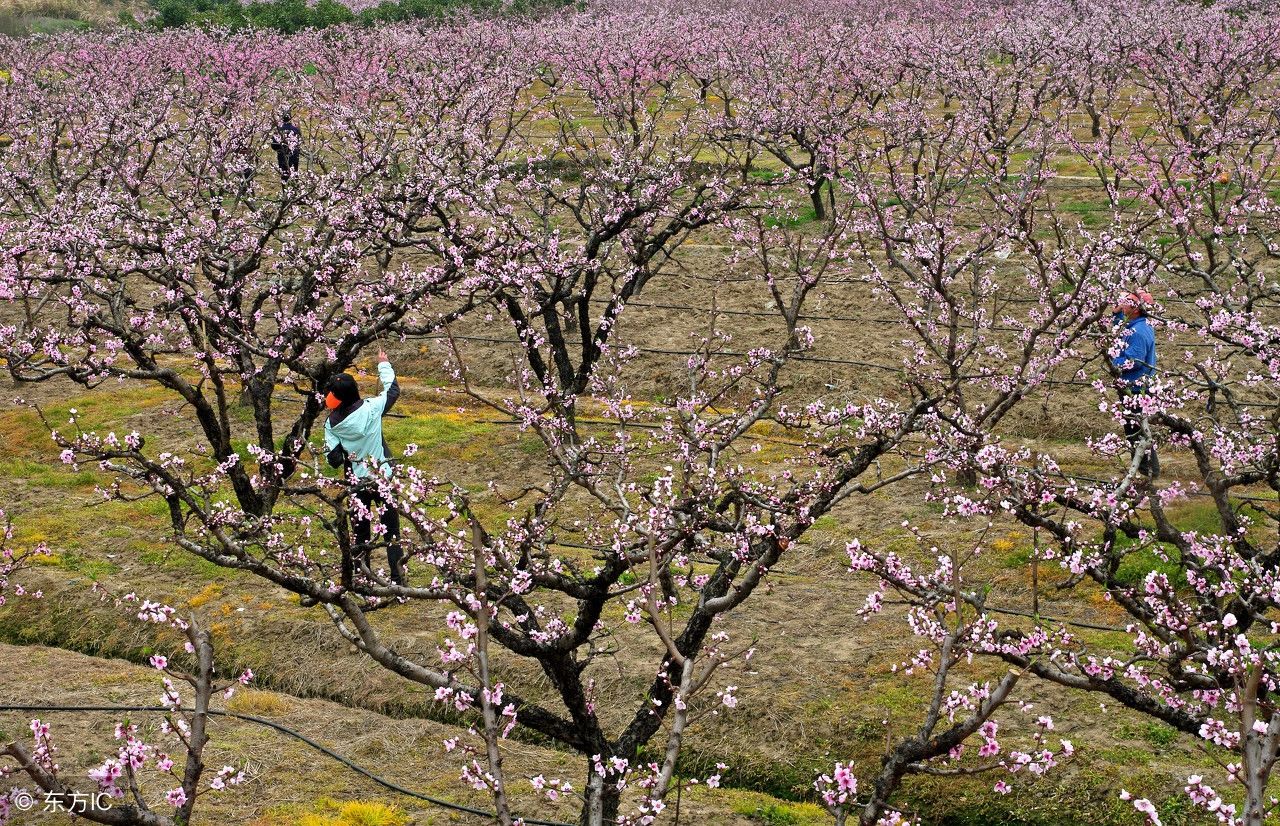 无锡十大好玩的地方 无锡有什么好玩的景点 无