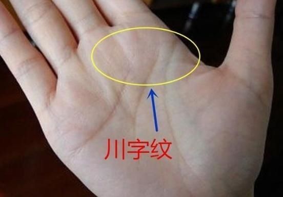 小指短小,食指肥大,苦命之人的手相,一生劳苦