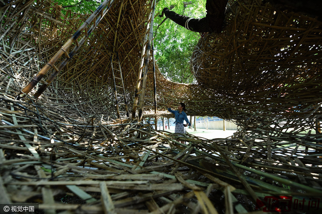 参观者在观看用毛竹编成的巨型“鸟巢”。