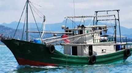 军演炸死的鱼,怎么处理