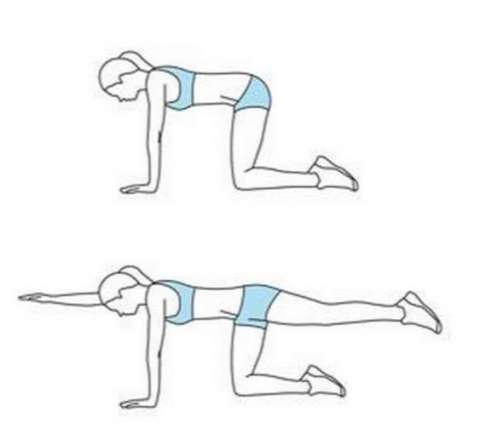 这个动作要与小燕飞相比,它会激发你的深层肌肉3.十字挺身