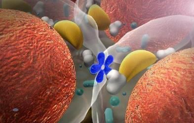 女人什么时候绝经,对身体最好?超过这个年龄段