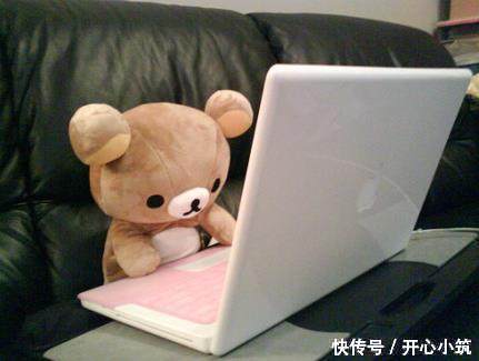 搞笑gif图片笑话段子:哥,以后没人敢欺负咱俩了