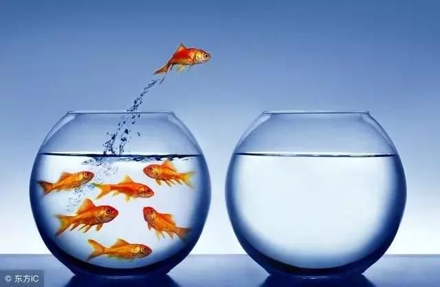 马云狂言:2019年最赚钱2大项目,普通人抓住机