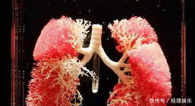 医生告诉你戒烟之后,肺部多久恢复正常