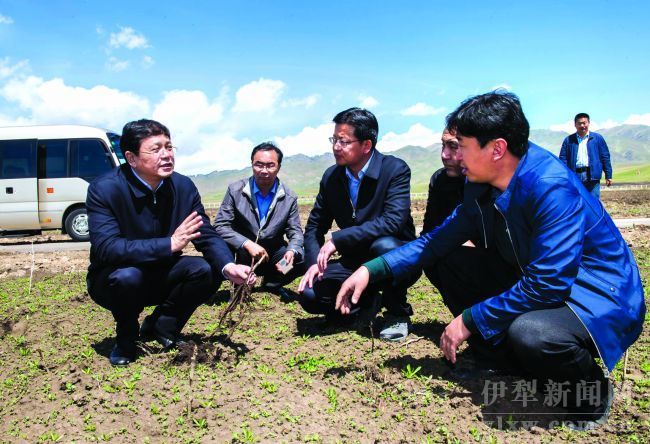 曾存:加大种植业结构调整力度 利用资源打造优势产业