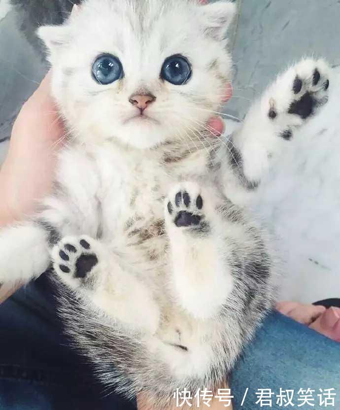 开心一刻笑话:儿子午睡起床,老婆喂水,儿子不肯