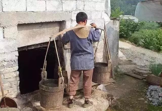 农民掏粪时捡到国宝金乌龟,价值1个亿,上交后