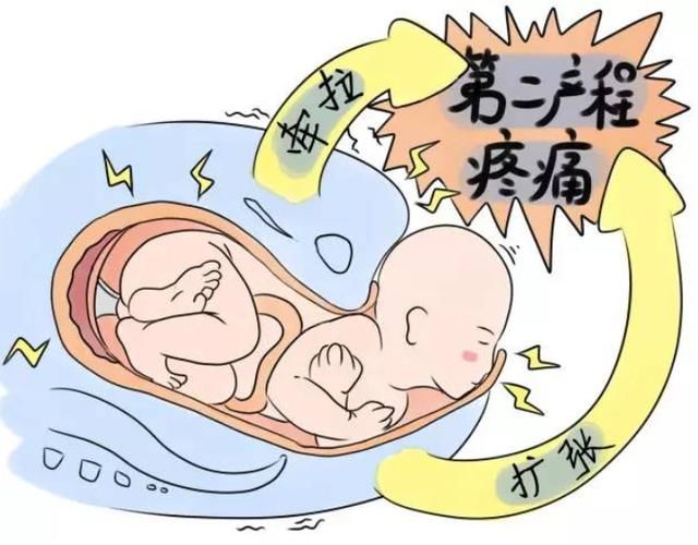 侧切恢复图,三年后侧切图慎入,侧切疤痕_大山谷图库