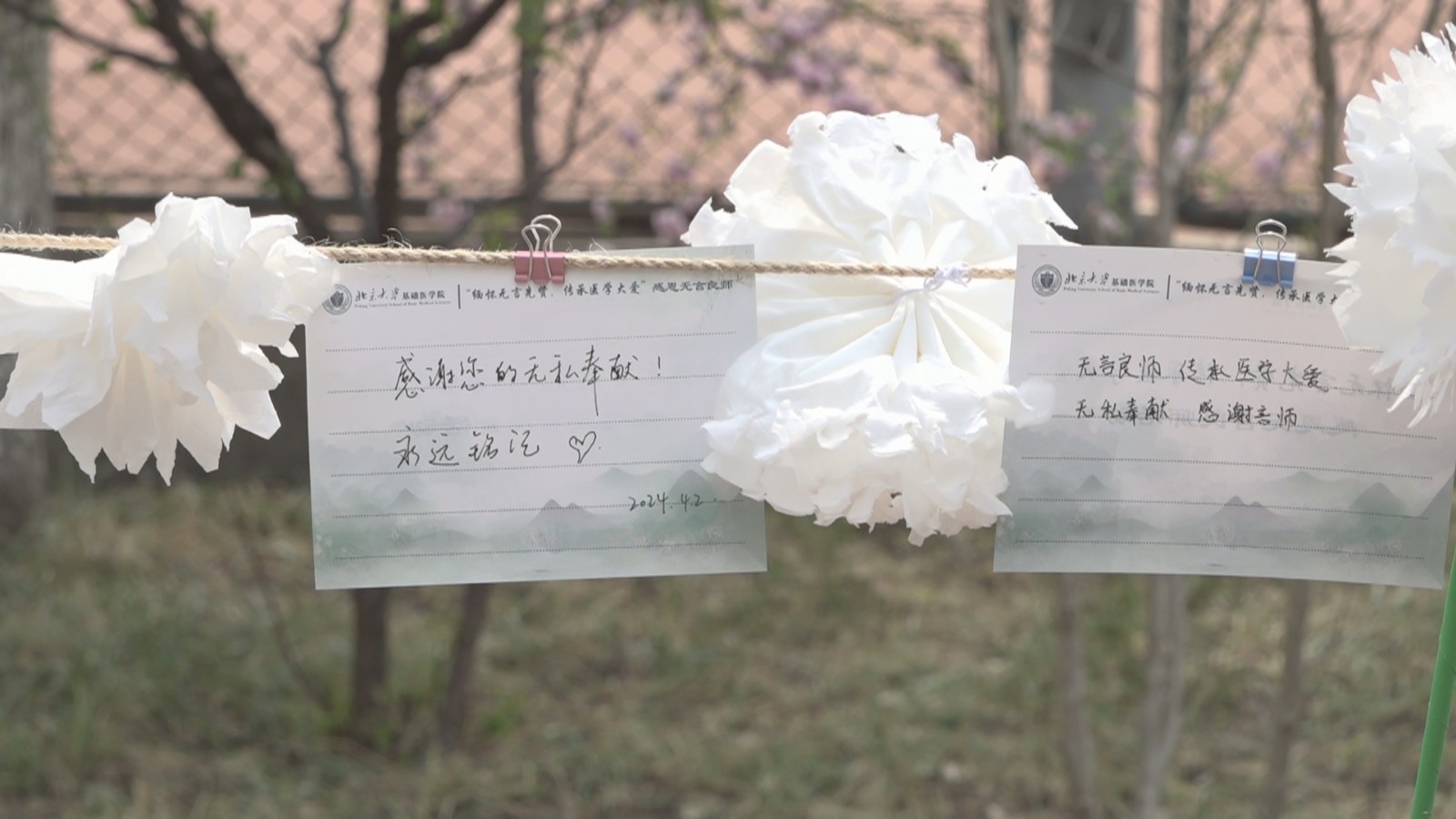 最小29天，最年长109岁！悼念“大体老师”  你们的名字没有被忘记