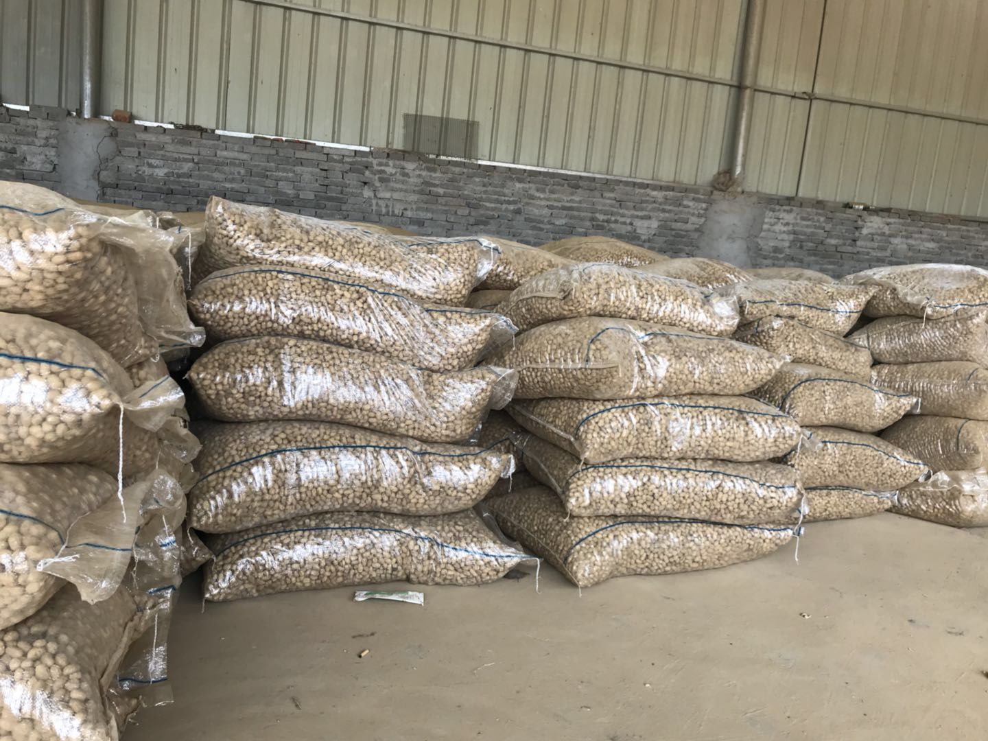 河南南阳农村带壳干花生的最新价格是多少?收