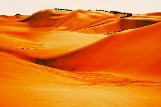 新版《爸爸去哪儿》来了!戚薇朱茵女儿将在这