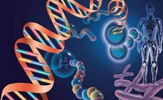 五年的腰椎间盘突出和坐骨神经痛,居然用这农