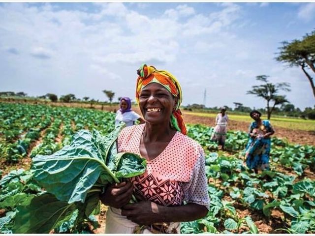 非洲人为什么不愿意种地,中国人过去后,非洲农