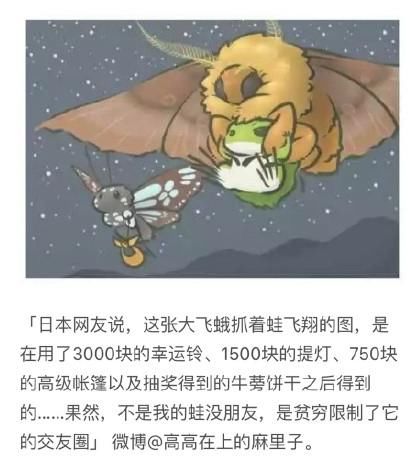 小青蛙旅行回家了吗?旅行青蛙从入门到玄学攻