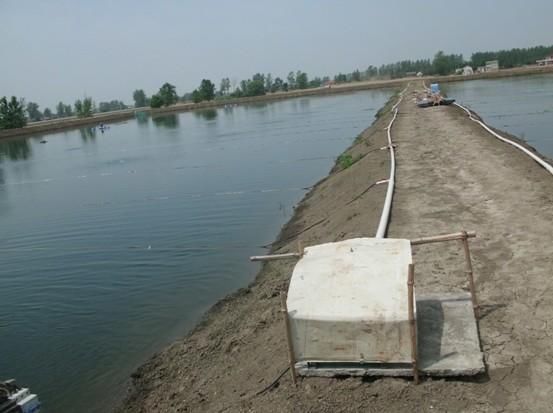 池塘养殖小龙虾,水质浑浊怎么解决?