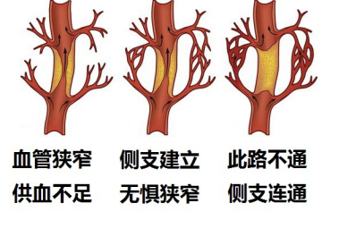 t01bf6c595bf9992b3f.png?size=379x265
