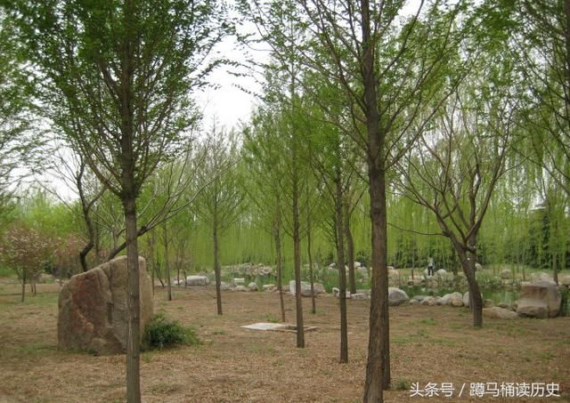 亚洲第一高中--潍坊一中景色美翻了