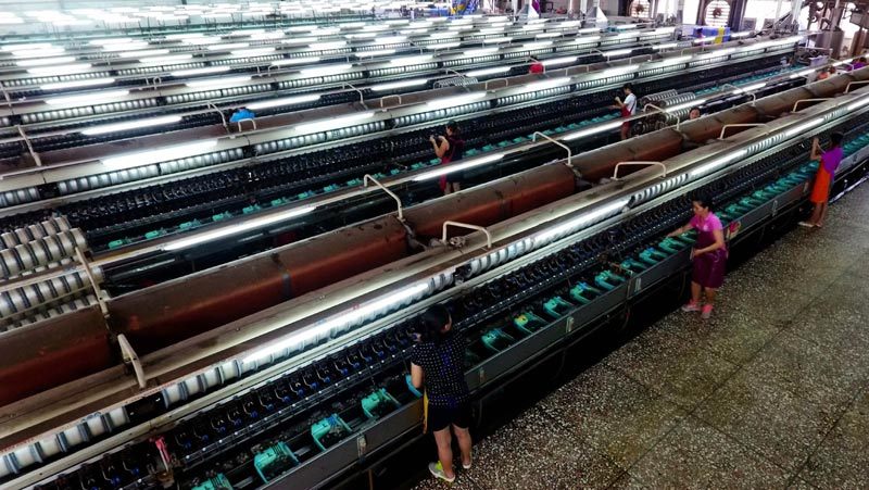 广西宜州:桑蚕产业进入循环经济发展快车道 广西宜州:桑蚕产业进入循环经济发展快车道