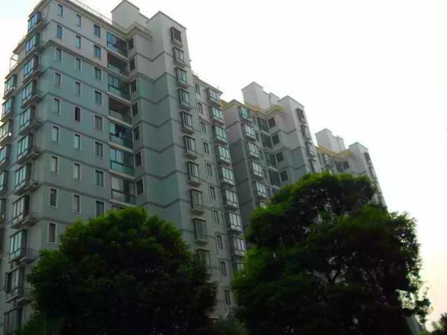 上海部分学区房价格地图最新出炉!看看你家有