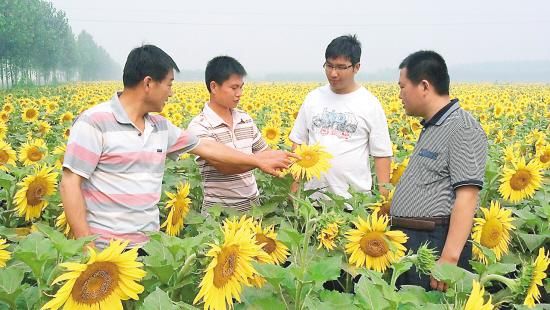 大学生村官可免试转公务员!各地大学生村官工