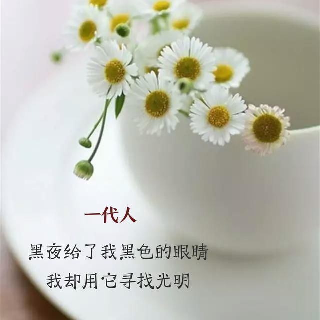 顾城的10首短诗,他的诗就像是唱给灵魂的歌!必