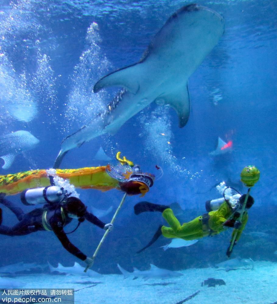 2017年5月27日,山东烟台一海洋公园的潜水员们正在精心排练他们自编自演的“水下舞龙”节目,用妙趣横生的表演和全新的视觉体验迎接即将到来的端午节假期。