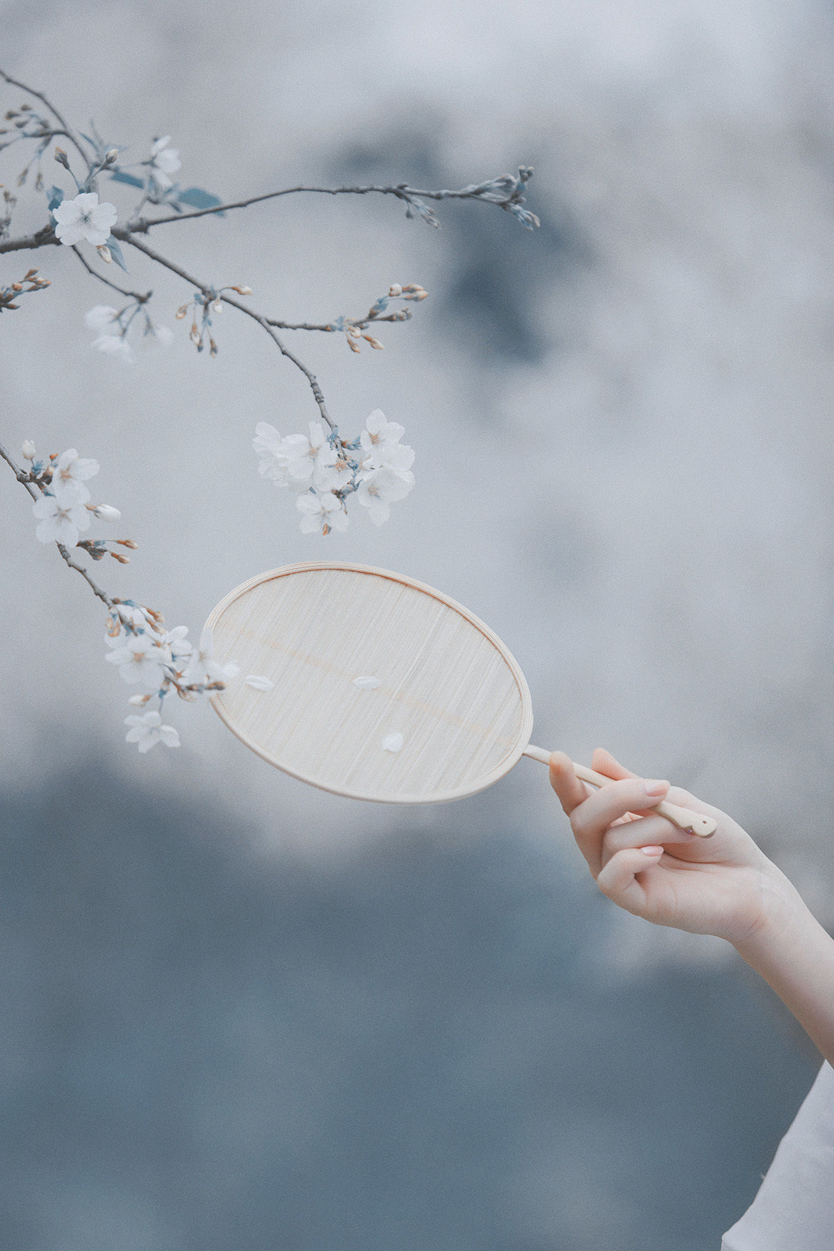 汉服:翠屏金屈曲,醉入花丛宿;此度见花枝,白头誓