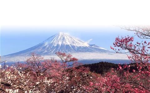 日本国公立大学和私立大学哪个更好?