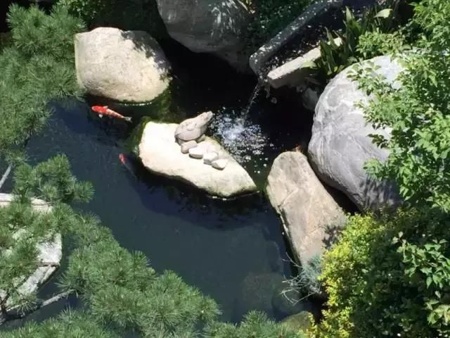 庭院設計 花園魚池 你更喜歡中式還是日式或者是西式 雪花新闻